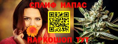 Альфа ПВП Ярославль