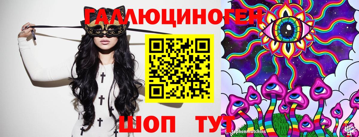 Псилоцибиновые грибы GOLDEN TEACHER  где купить   Вход с VPN  Бердск  Галлюциногенные грибы прущие грибы 