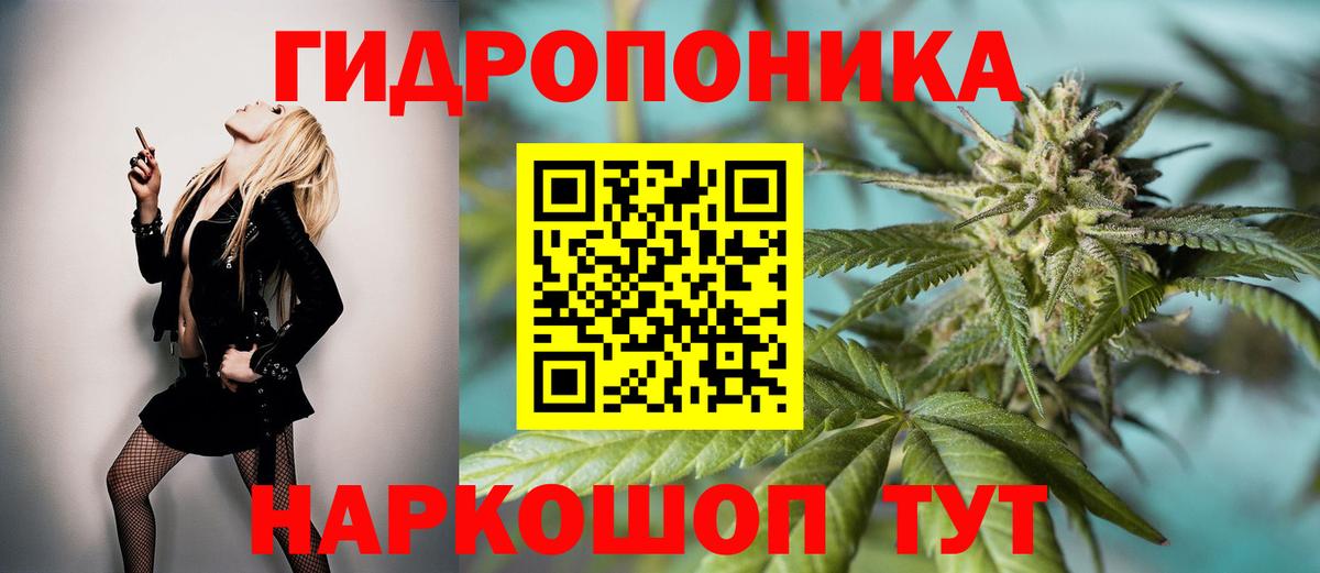 Бошки Шишки сатива  Каннабис марихуана  Вход с VPN  Канабис ГИДРОПОН  Бердск 